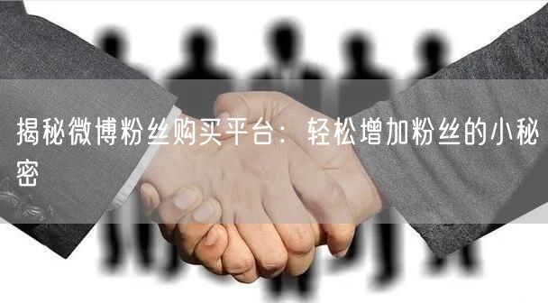 揭秘微博粉丝购买平台：轻松增加粉丝的小秘密