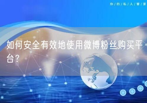 如何安全有效地使用微博粉丝购买平台？