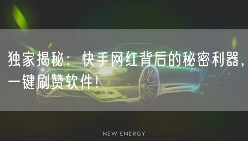 独家揭秘：快手网红背后的秘密利器，一键刷赞软件！