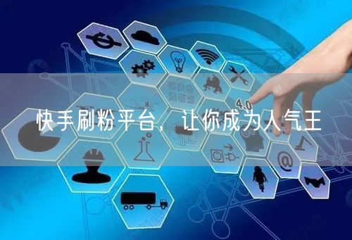 快手刷粉平台，让你成为人气王