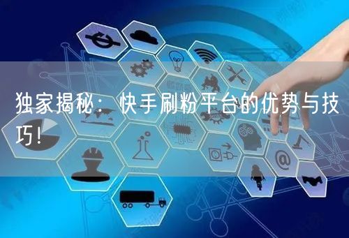 独家揭秘：快手刷粉平台的优势与技巧！