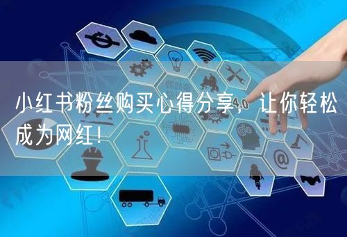 小红书粉丝购买心得分享，让你轻松成为网红！