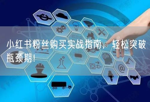 小红书粉丝购买实战指南，轻松突破瓶颈期！