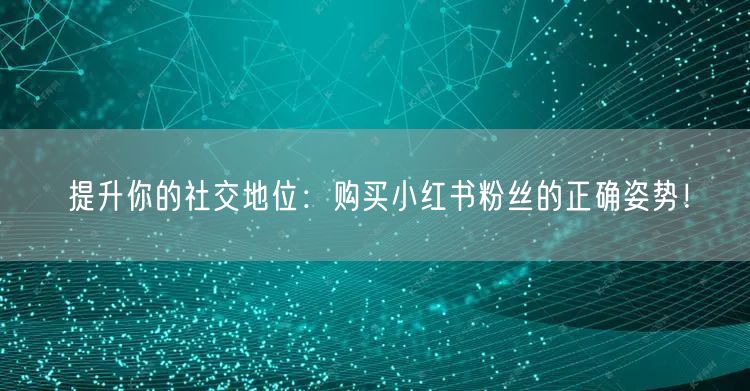 提升你的社交地位：购买小红书粉丝的正确姿势！