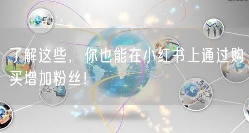 了解这些，你也能在小红书上通过购买增加粉丝！