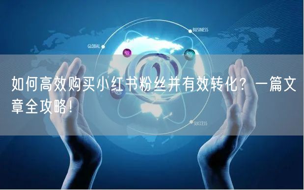 如何高效购买小红书粉丝并有效转化？一篇文章全攻略！