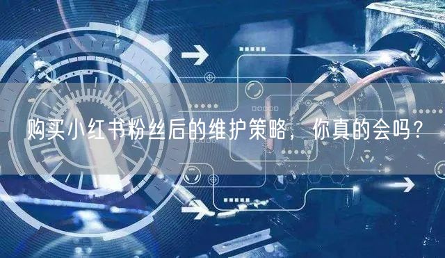 购买小红书粉丝后的维护策略，你真的会吗？