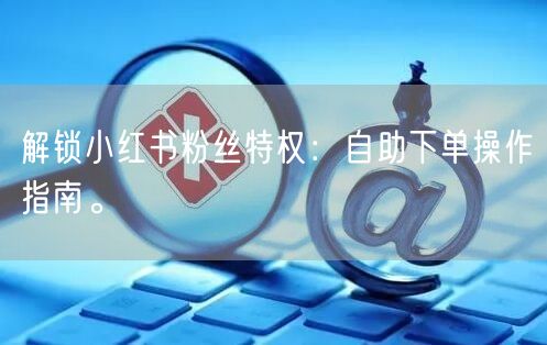 解锁小红书粉丝特权：自助下单操作指南。