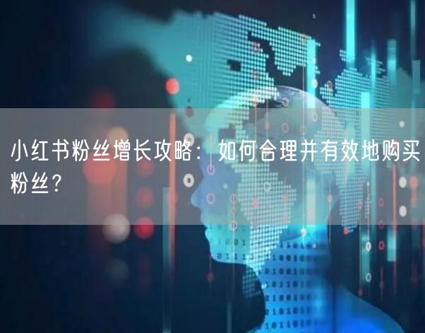 小红书粉丝增长攻略：如何合理并有效地购买粉丝？