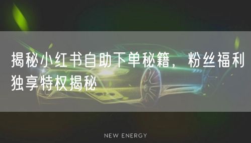 揭秘小红书自助下单秘籍，粉丝福利独享特权揭秘