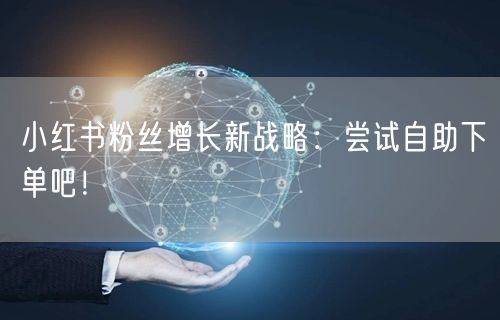 小红书粉丝增长新战略：尝试自助下单吧！