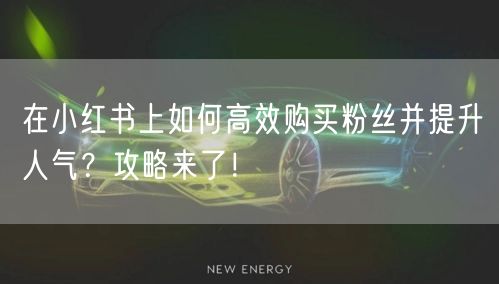 在小红书上如何高效购买粉丝并提升人气？攻略来了！