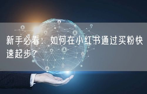 新手必看：如何在小红书通过买粉快速起步？