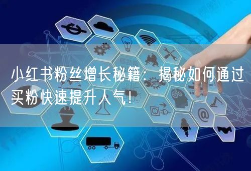 小红书粉丝增长秘籍：揭秘如何通过买粉快速提升人气！