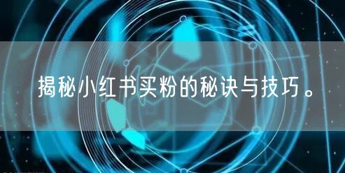 揭秘小红书买粉的秘诀与技巧。