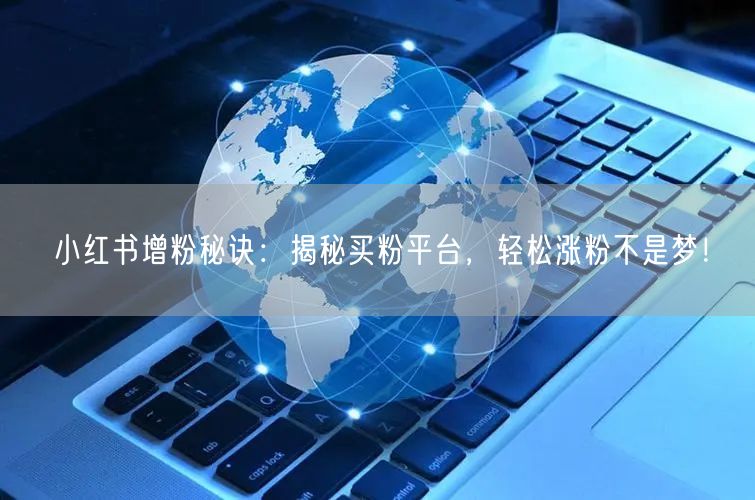 小红书增粉秘诀：揭秘买粉平台，轻松涨粉不是梦！