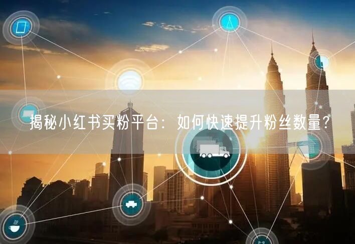 揭秘小红书买粉平台：如何快速提升粉丝数量？