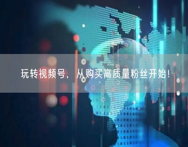 玩转视频号，从购买高质量粉丝开始！
