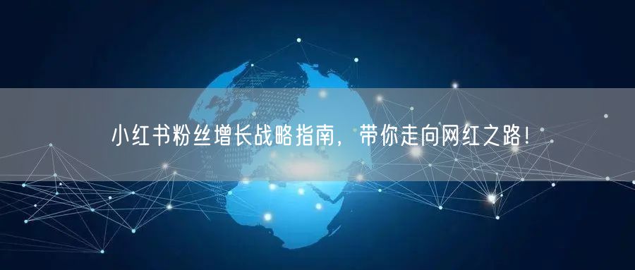 小红书粉丝增长战略指南，带你走向网红之路！
