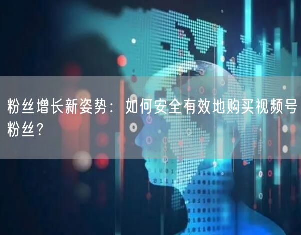 粉丝增长新姿势：如何安全有效地购买视频号粉丝？