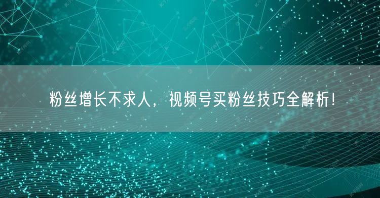 粉丝增长不求人，视频号买粉丝技巧全解析！
