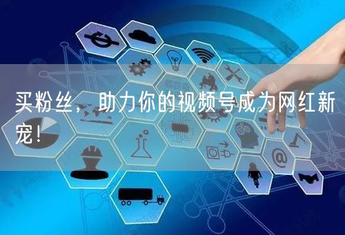 买粉丝，助力你的视频号成为网红新宠！