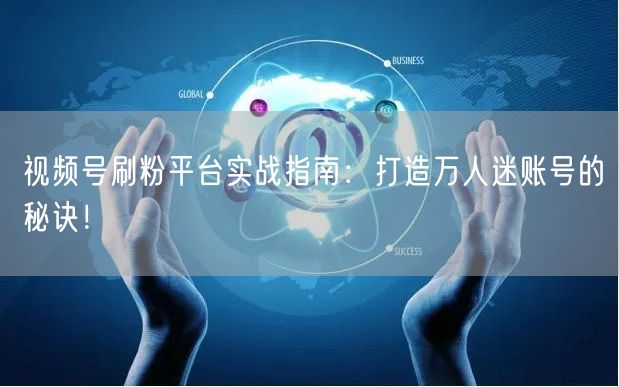 视频号刷粉平台实战指南：打造万人迷账号的秘诀！