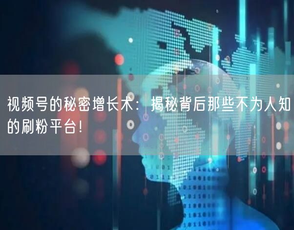 视频号的秘密增长术：揭秘背后那些不为人知的刷粉平台！