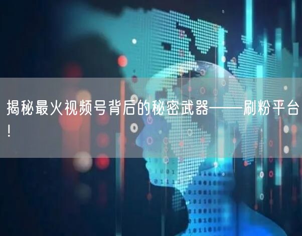 揭秘最火视频号背后的秘密武器——刷粉平台！