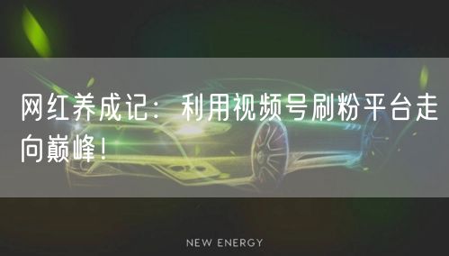 网红养成记：利用视频号刷粉平台走向巅峰！