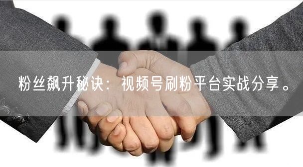 粉丝飙升秘诀：视频号刷粉平台实战分享。