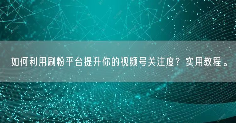 如何利用刷粉平台提升你的视频号关注度？实用教程。