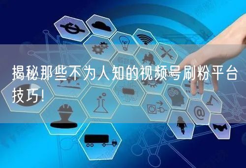 揭秘那些不为人知的视频号刷粉平台技巧！