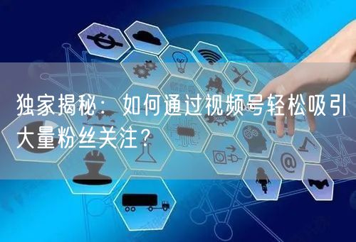 独家揭秘：如何通过视频号轻松吸引大量粉丝关注？