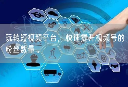 玩转短视频平台，快速提升视频号的粉丝数量。