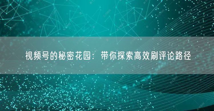 视频号的秘密花园：带你探索高效刷评论路径