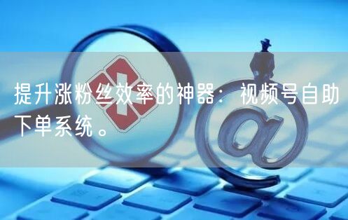 提升涨粉丝效率的神器：视频号自助下单系统。