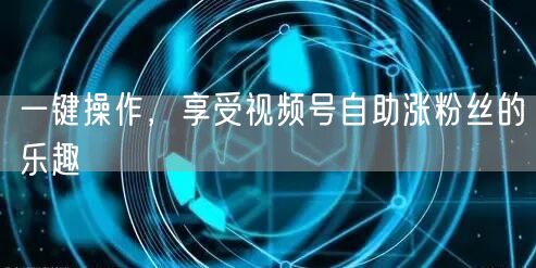 一键操作，享受视频号自助涨粉丝的乐趣