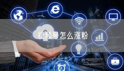 视频号怎么涨粉