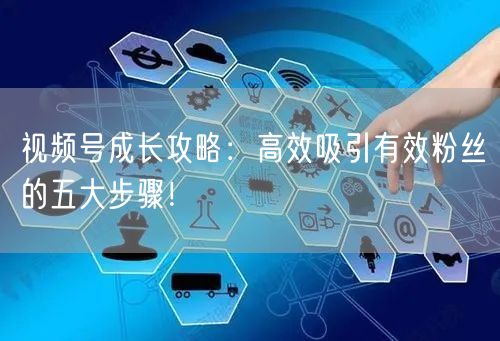 视频号成长攻略：高效吸引有效粉丝的五大步骤！