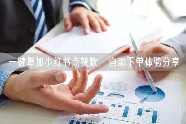 一键增加小红书点赞数，自助下单体验分享
