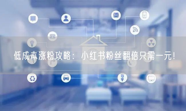 低成本涨粉攻略：小红书粉丝翻倍只需一元！