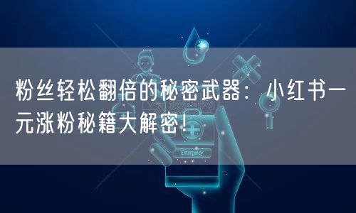 粉丝轻松翻倍的秘密武器：小红书一元涨粉秘籍大解密！