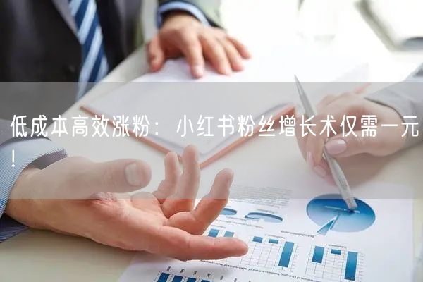 低成本高效涨粉：小红书粉丝增长术仅需一元！
