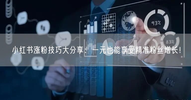 小红书涨粉技巧大分享：一元也能享受精准粉丝增长！