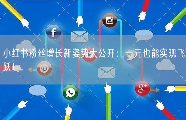 小红书粉丝增长新姿势大公开：一元也能实现飞跃！