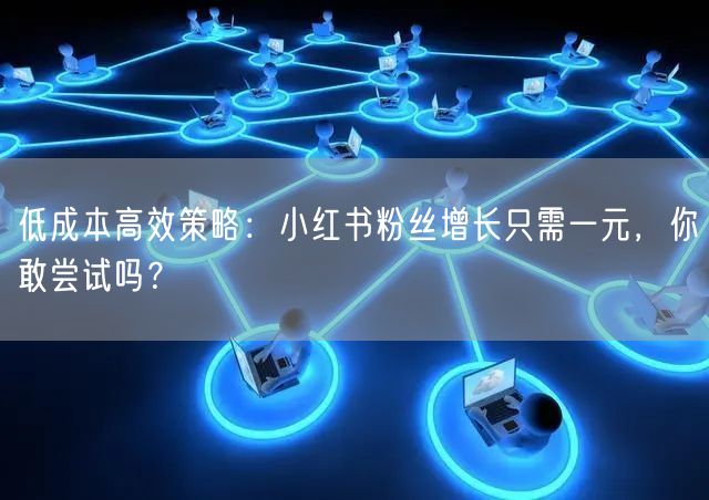 低成本高效策略：小红书粉丝增长只需一元，你敢尝试吗？