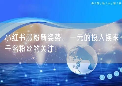 小红书涨粉新姿势，一元的投入换来千名粉丝的关注！