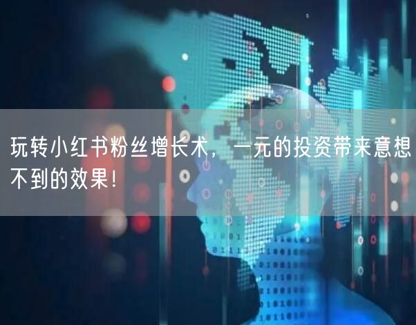 玩转小红书粉丝增长术，一元的投资带来意想不到的效果！