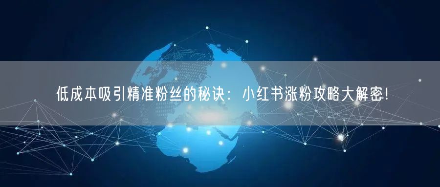 低成本吸引精准粉丝的秘诀：小红书涨粉攻略大解密！